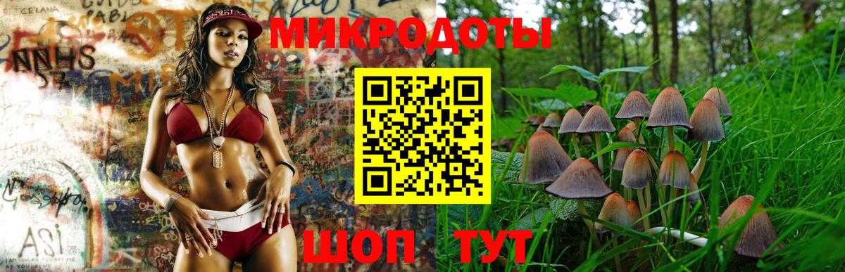 Псилоцибиновые грибы мухоморы Железноводск